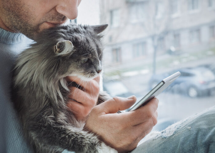 5 načina kako online veterinari olakšavaju brigu o zdravlju ljubimaca